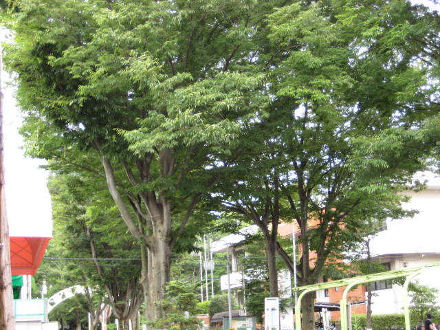 e0166032_22173033.jpg