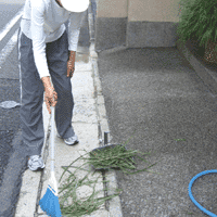 d0033734_1055998.gif