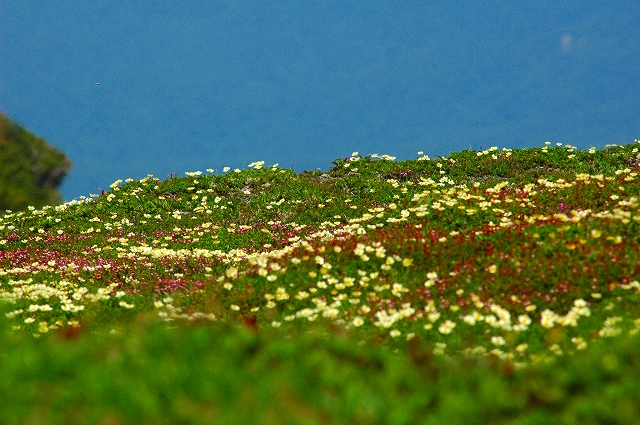 f0202445_13382091.jpg