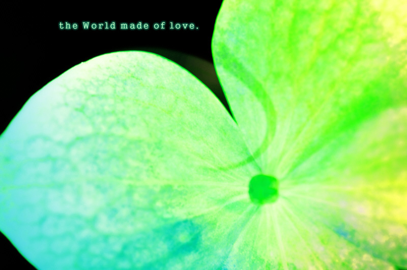 063　the world made of love_c0185246_7244760.jpg