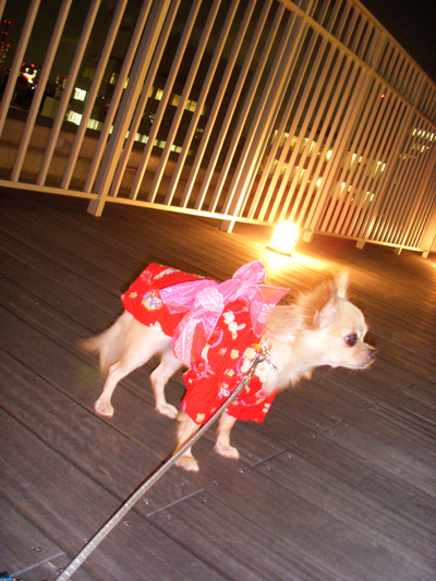 どーーーーーんとわらべ?_f0196753_18282895.jpg