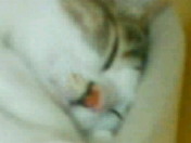 c0052756_14171324.jpg