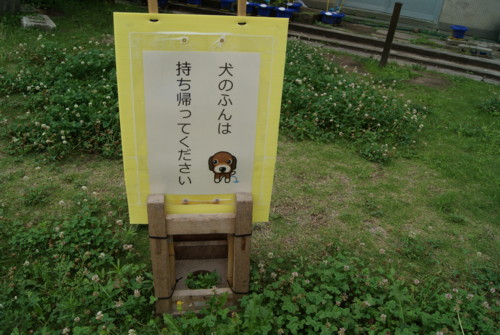 c0135361_2275938.jpg