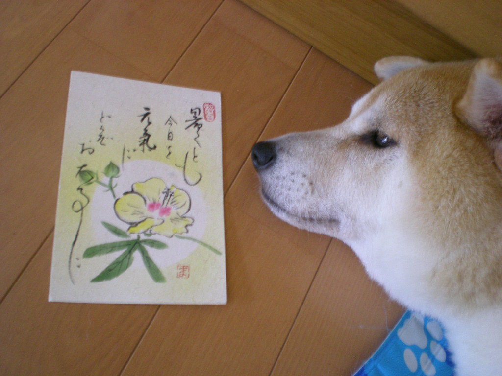 2008年8月7日(金)かっぱ橋でmiwaさんとデート!_f0060461_14152161.jpg