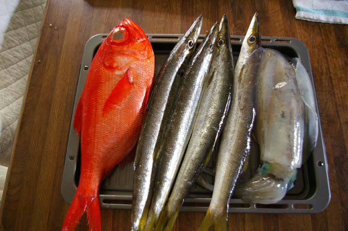 義父９６歳の誕生日を佐島港の鮮魚をさばいて祝う（8・6）_c0014967_3353233.jpg