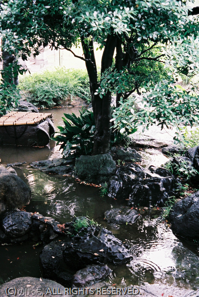 b0136768_23341722.jpg