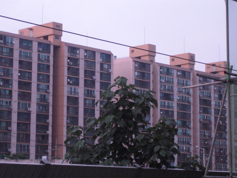 a0098874_132927.jpg
