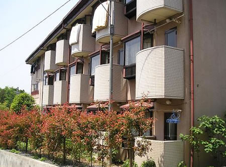 b0123486_9212462.jpg