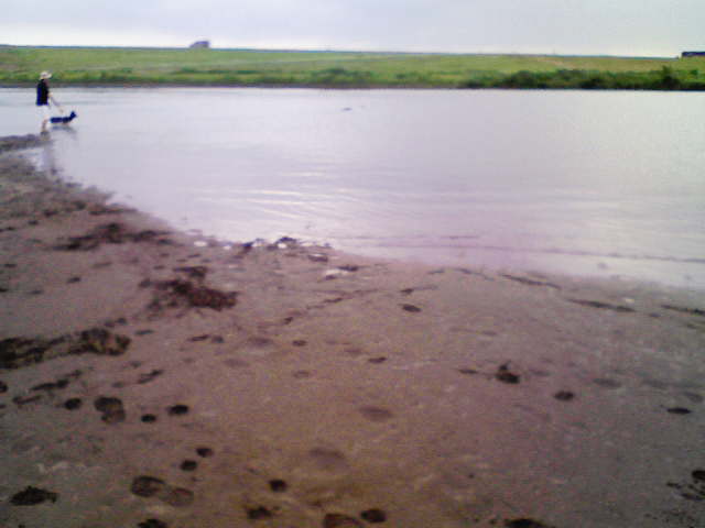 f0114893_8182017.jpg