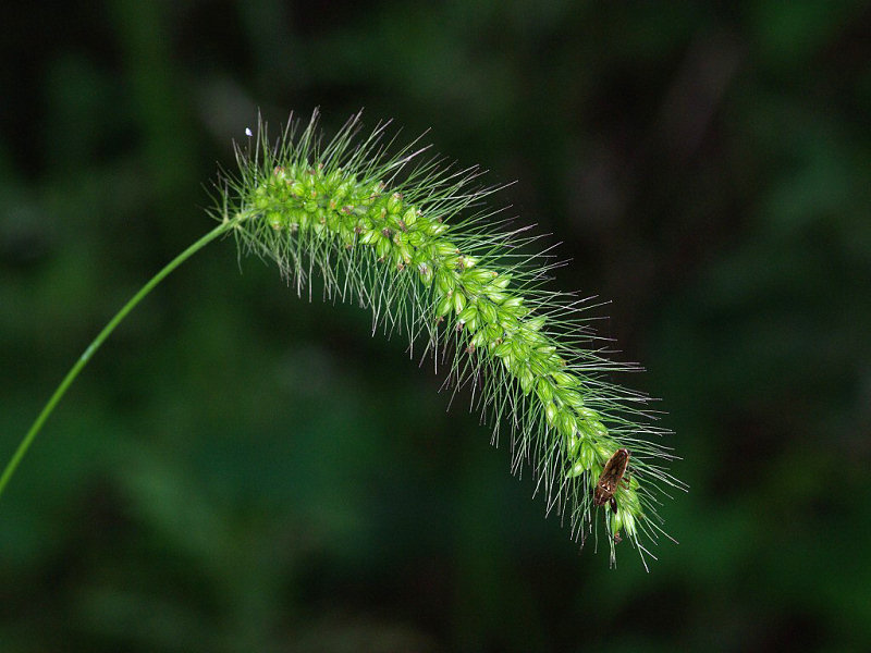 f0204094_78018.jpg