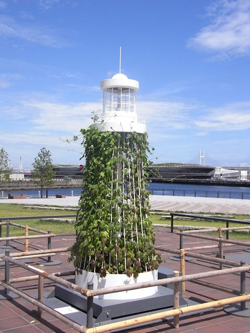 c0061695_23114994.jpg