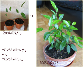 a0034198_17132454.jpg