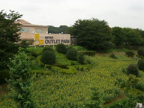 a0057402_19225544.jpg
