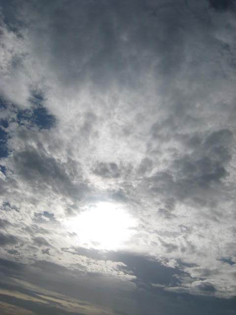 夏休みパート1_c0172504_9194593.jpg