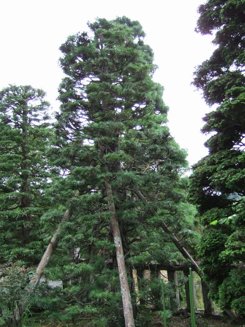昨日の現場は_f0108604_1854462.jpg