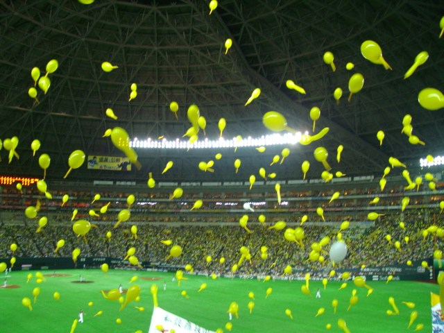 d0139806_2222139.jpg