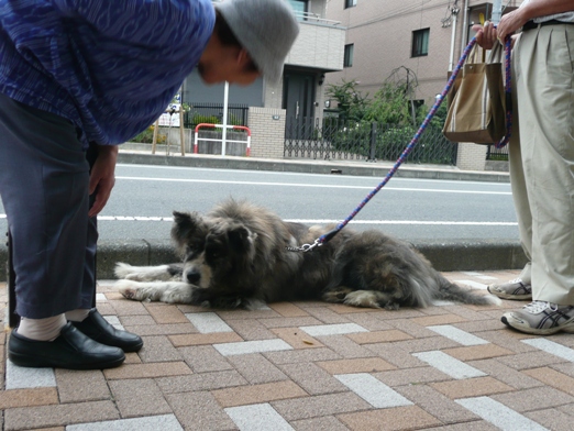 c0097309_1193742.jpg