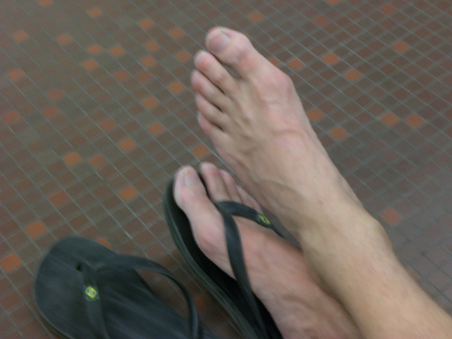 e0176809_129933.jpg