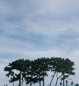 c0100110_1784434.jpg