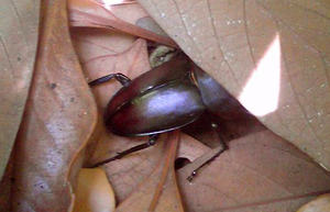 f0107320_9274887.jpg