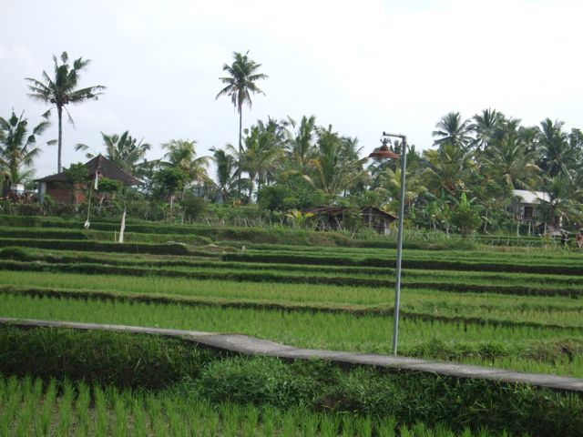 c0025422_21531992.jpg
