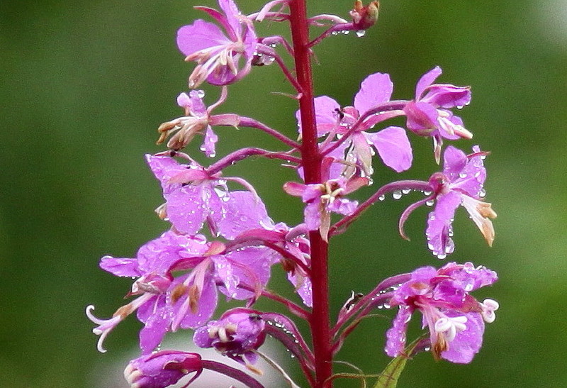 b0179023_213475.jpg