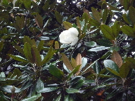 b0156324_15434710.jpg