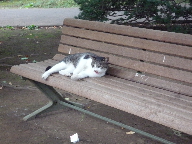 b0156324_15501340.jpg