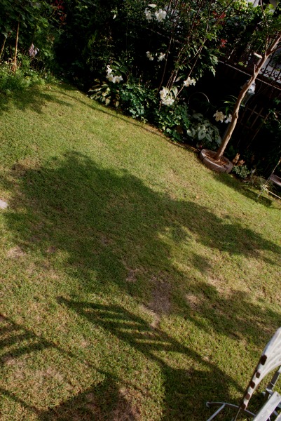 f0170524_16132843.jpg