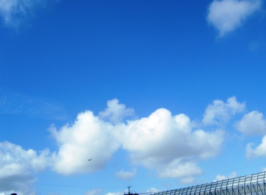 e0024126_9394145.jpg