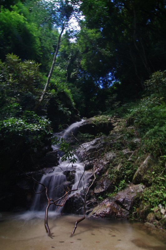 d0032931_23553538.jpg