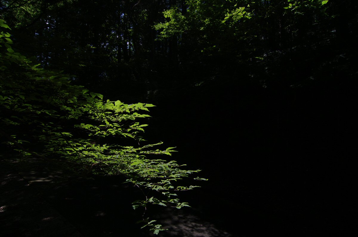 d0032931_23581477.jpg