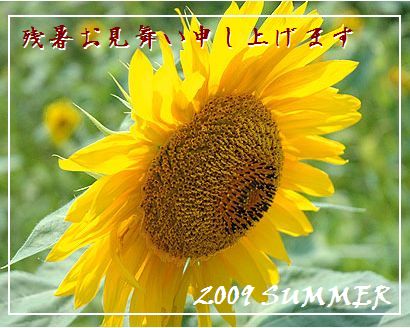 f0050132_23543786.jpg