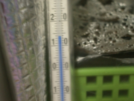 c0025140_1042214.jpg