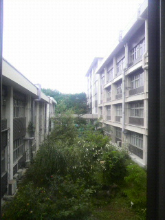 e0080641_1618751.jpg
