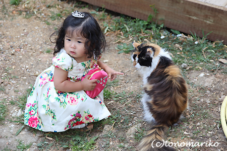 どうしてもネコちゃんと行きたい?!_c0024345_86988.jpg