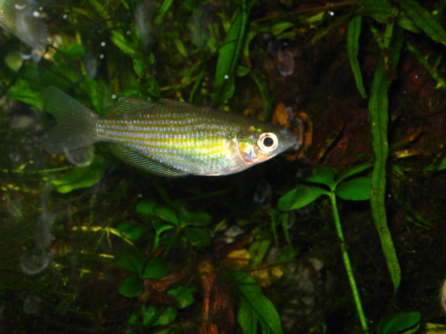 f0198950_2246556.jpg
