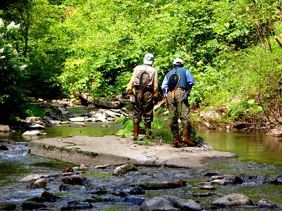 c0097652_20441657.jpg