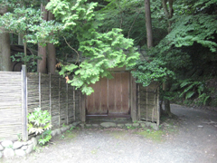 e0153357_82248.jpg