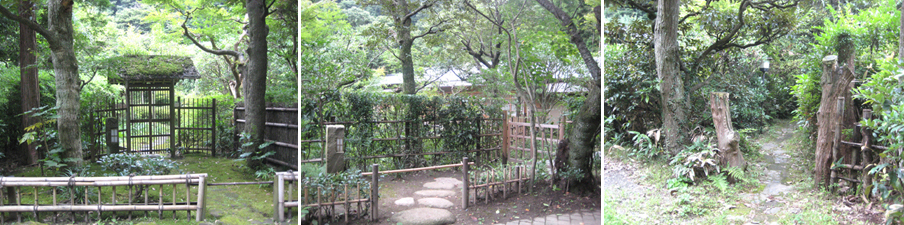 e0153357_8231190.jpg