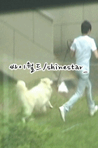 d0045458_1953948.gif