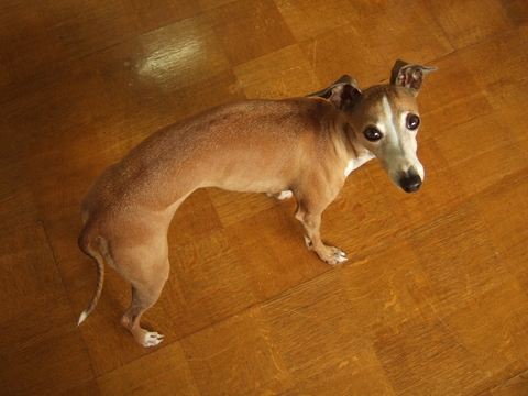 f0158862_1834829.jpg