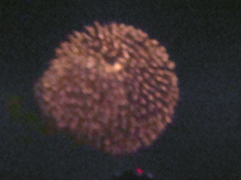 a0083571_2237222.jpg