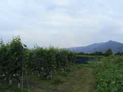 c0054771_9243212.jpg