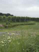 c0054771_97542.jpg