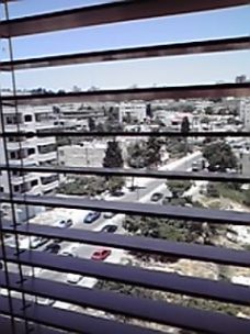 a0085574_1936134.jpg