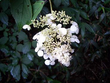 e0164874_2303322.jpg