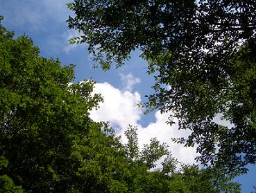 e0164874_2375491.jpg
