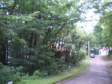 e0164874_237974.jpg