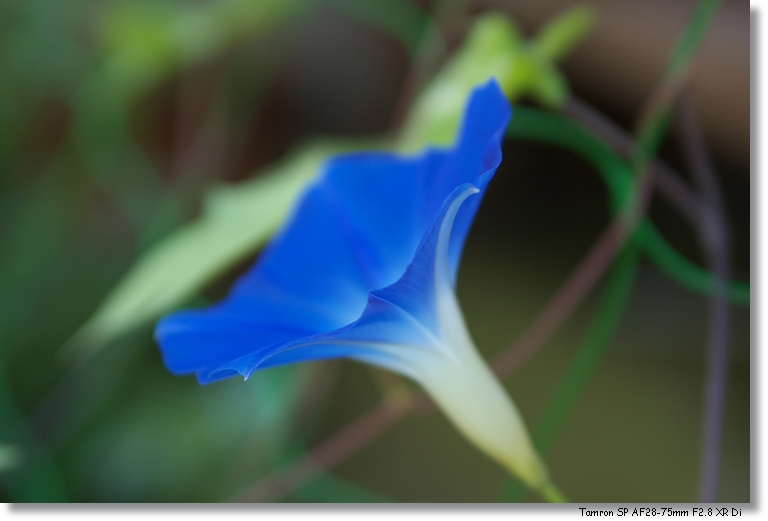 終了_c0054876_16544428.jpg